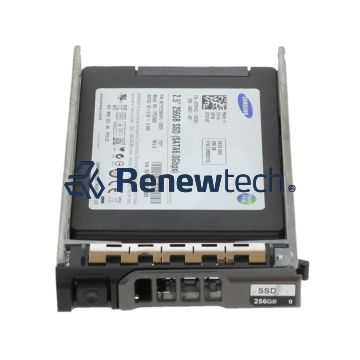 256GB SSD 2.5 SATA 6G 0G95G